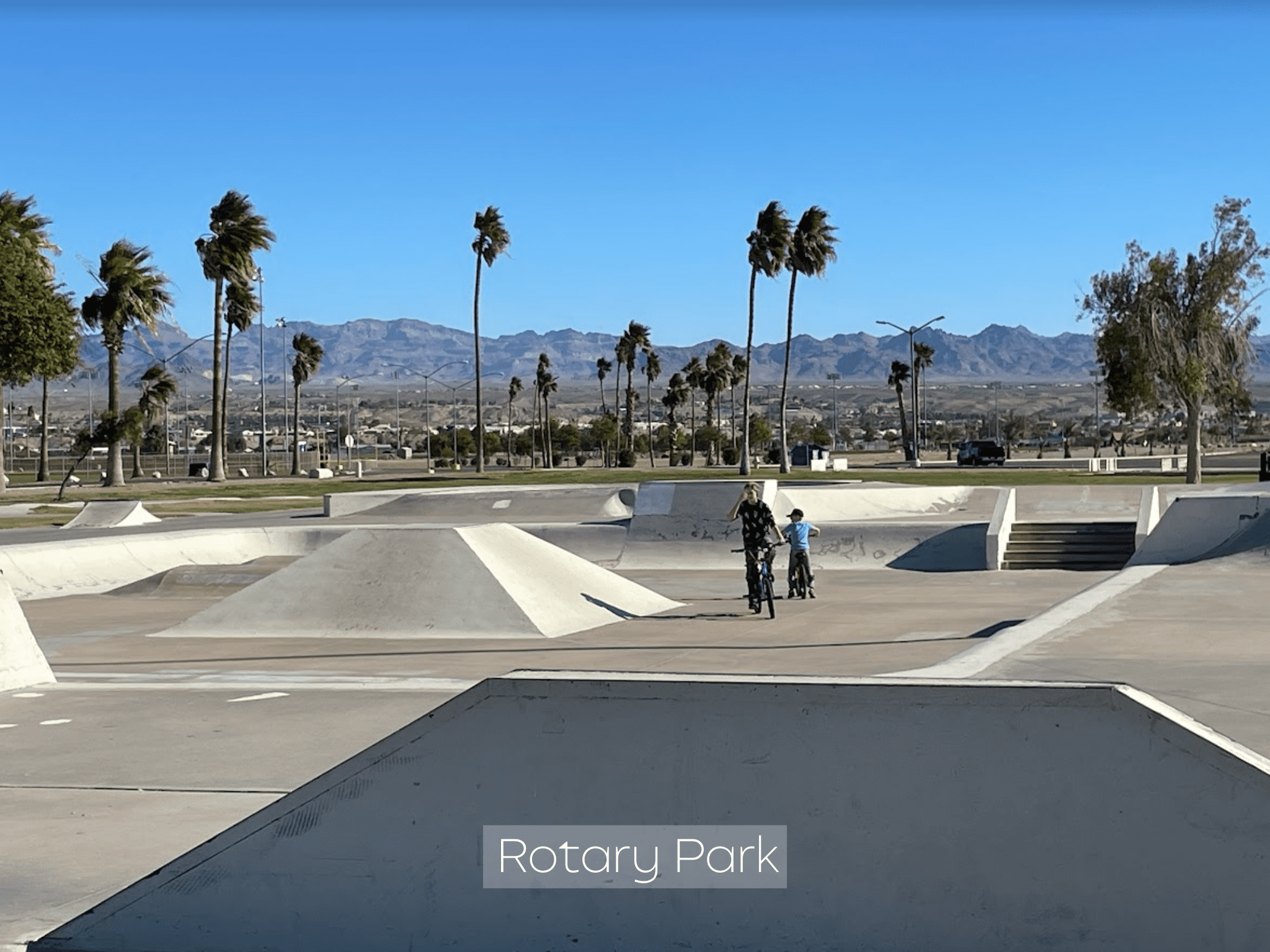 Skatepark with palm trees and mountains in the background under a clear sky.